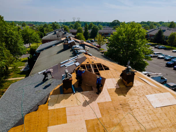 Best Storm Damage Roof Repair  in Kean University, NJ