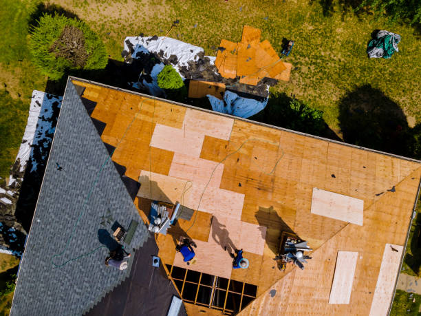 Roof Gutter Cleaning in Kean University, NJ